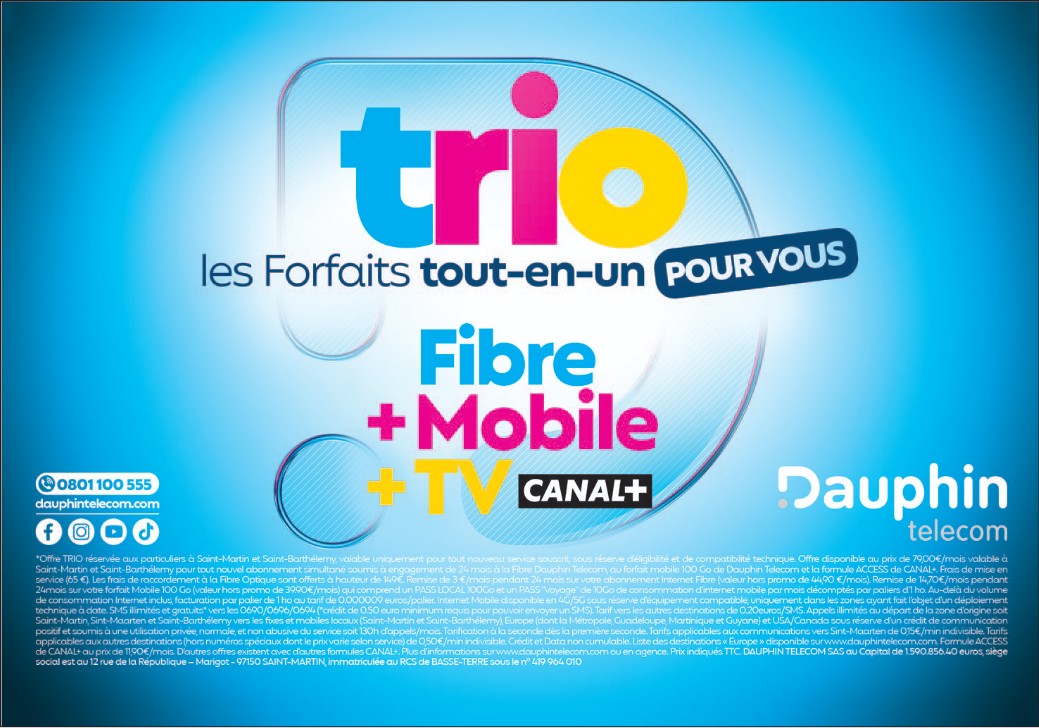 DAUPHIN TELECOM